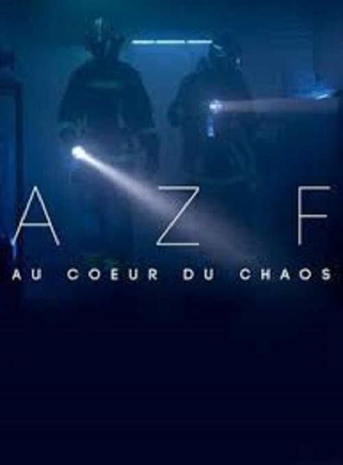 AZF : au cœur du chaosのポスター