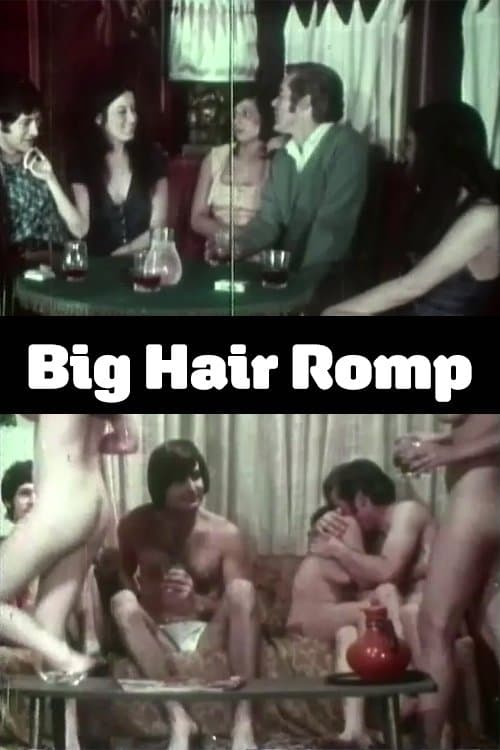 Big Hair Rompのポスター