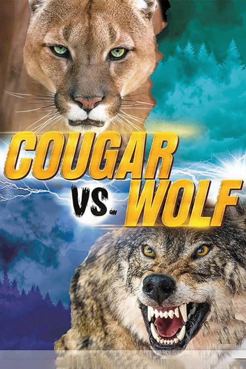 Cougar v. Wolfのポスター