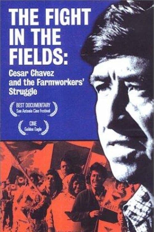The Fight In The Fieldsのポスター