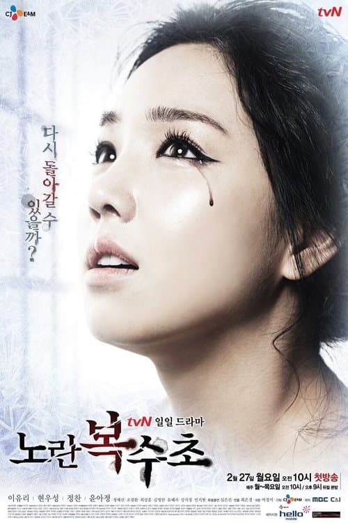 노란 복수초のポスター