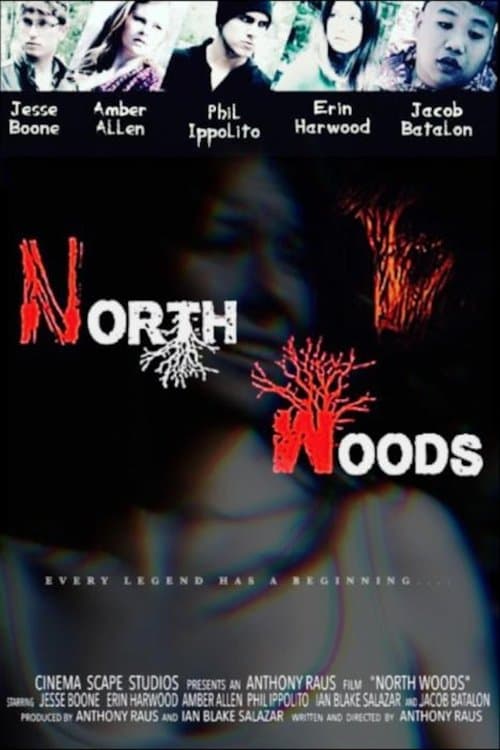 North Woodsのポスター