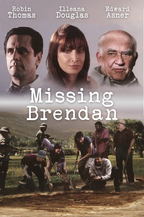 Missing Brendanのポスター