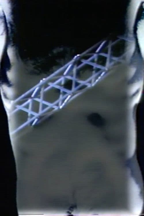 Kobolds' Gesängeのポスター