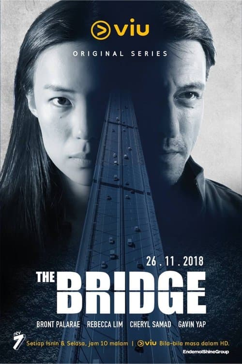 The Bridgeのポスター