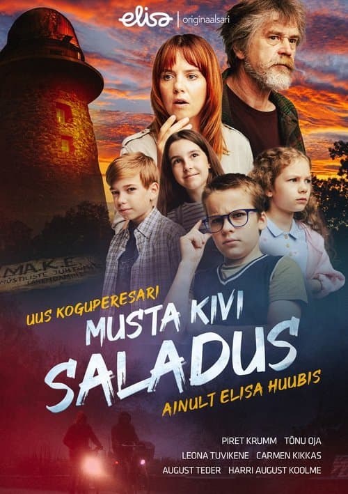 Musta kivi saladusのポスター