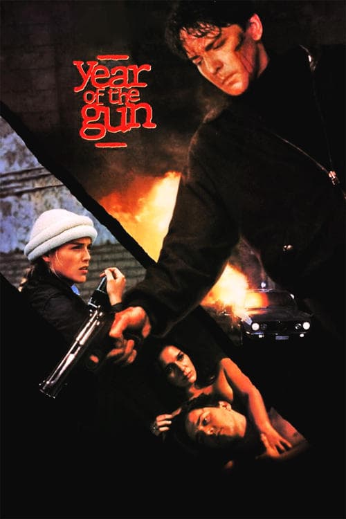 Year of the Gunのポスター
