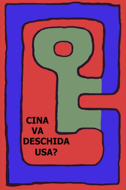 Cine va deschide usa?のポスター