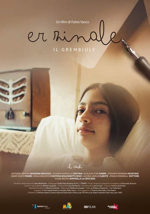 Er Zinaleのポスター