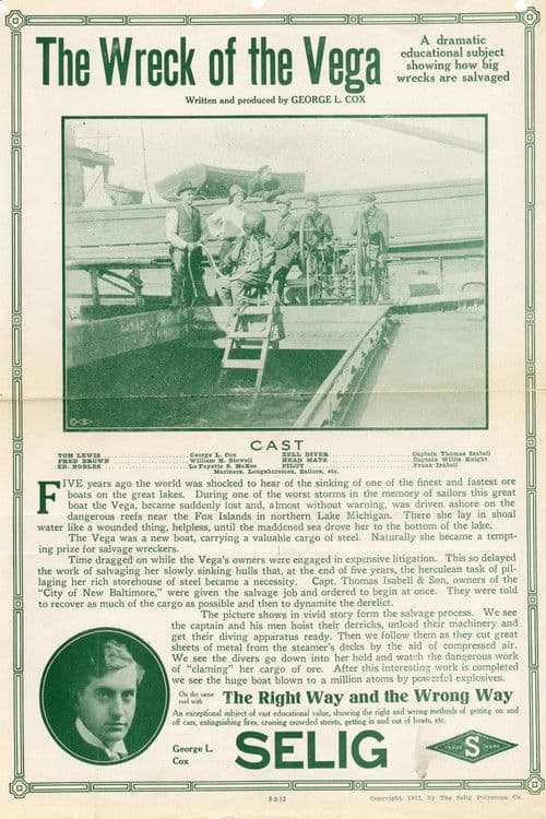 The Wreck of the Vegaのポスター