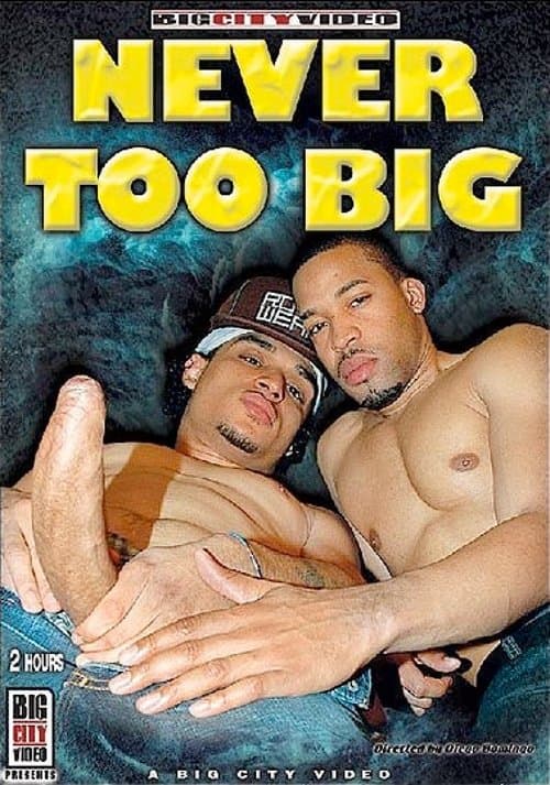 Never Too Bigのポスター
