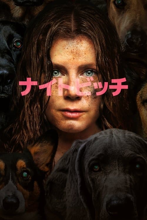 ナイトビッチのポスター