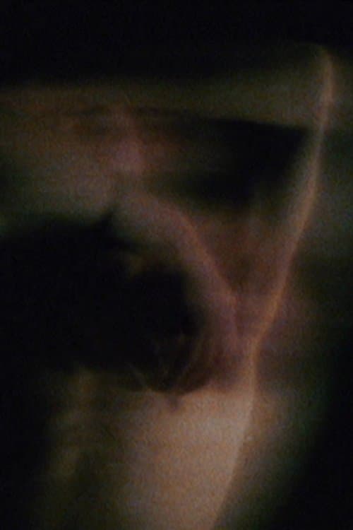 Gestuelのポスター