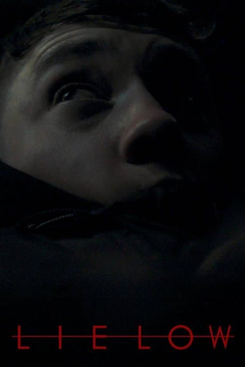 Lie Lowのポスター