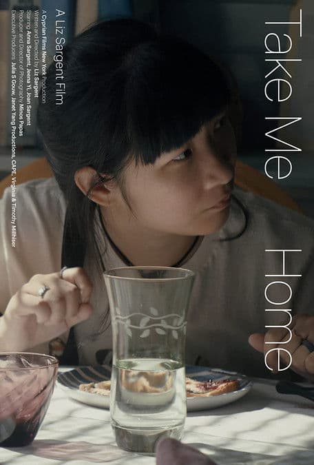 Take Me Homeのポスター