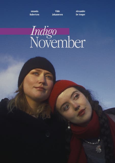 Indigo Novemberのポスター