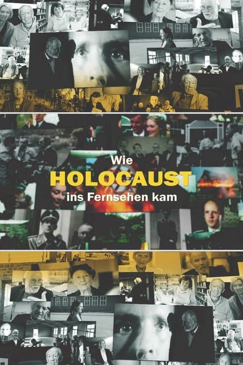 Wie Holocaust ins Fernsehen kamのポスター