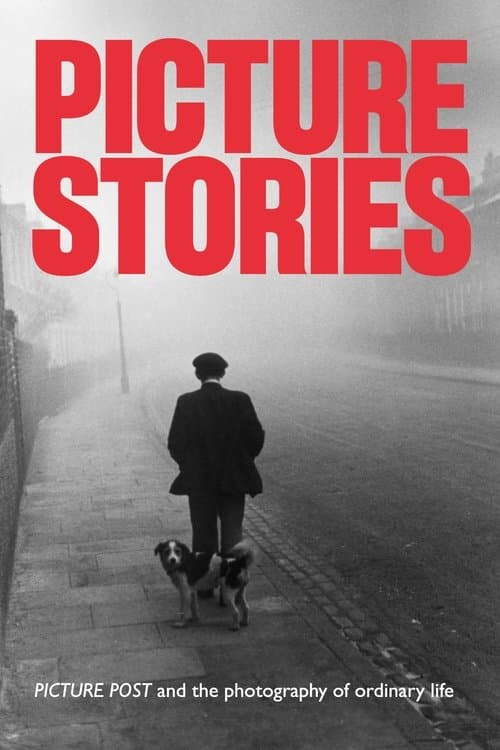 Picture Storiesのポスター