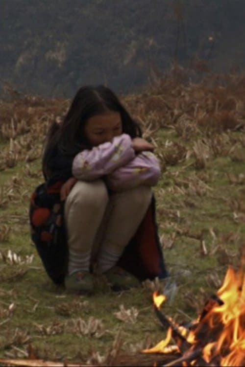 橘子皮的温度のポスター