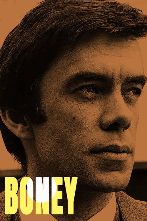 Boneyのポスター
