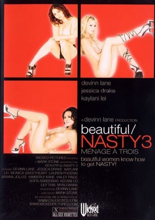 Beautiful/Nasty 3のポスター