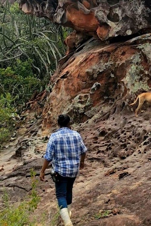 Afluenteのポスター