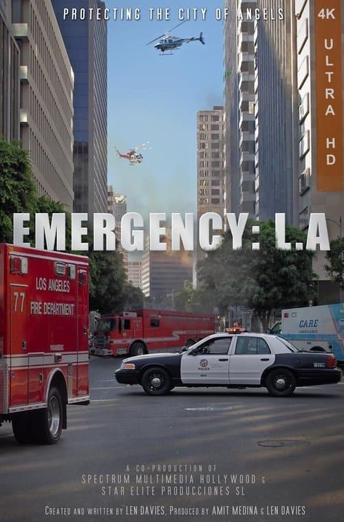 Emergency: LAのポスター