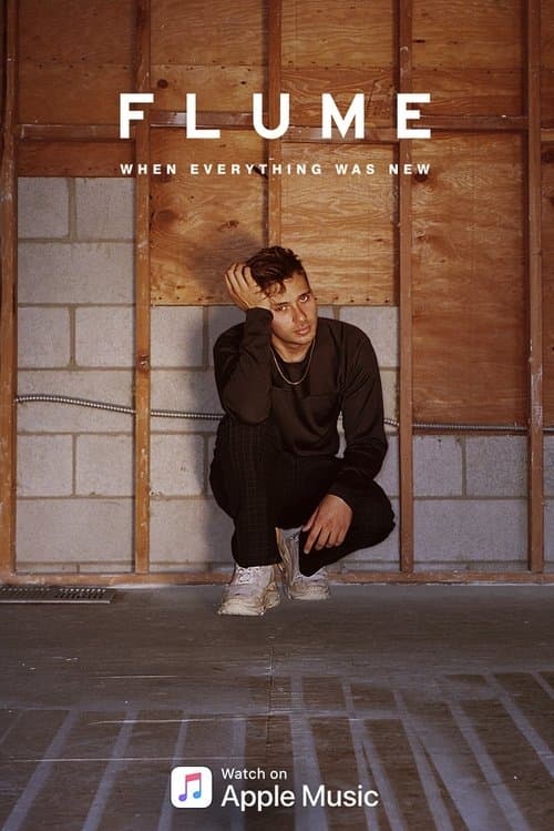 Flume: When Everything Was Newのポスター