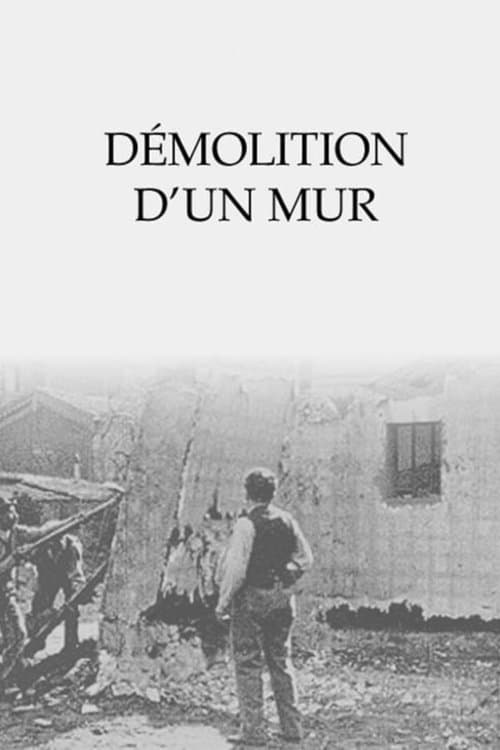 Démolition d'un murのポスター