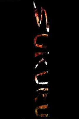 Sukuruのポスター