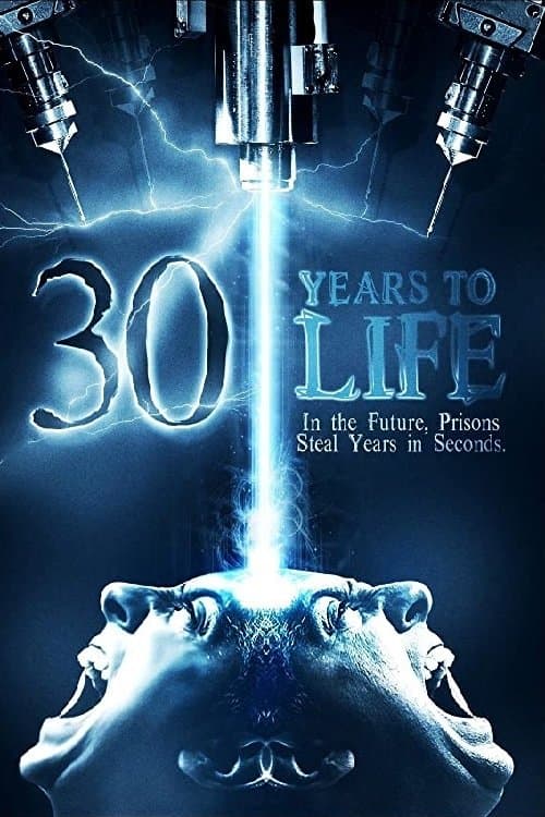30 Years to Lifeのポスター