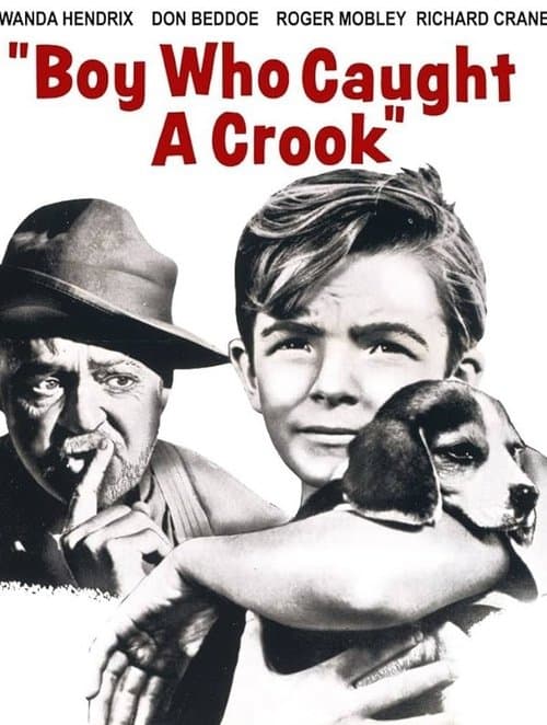 Boy Who Caught a Crookのポスター