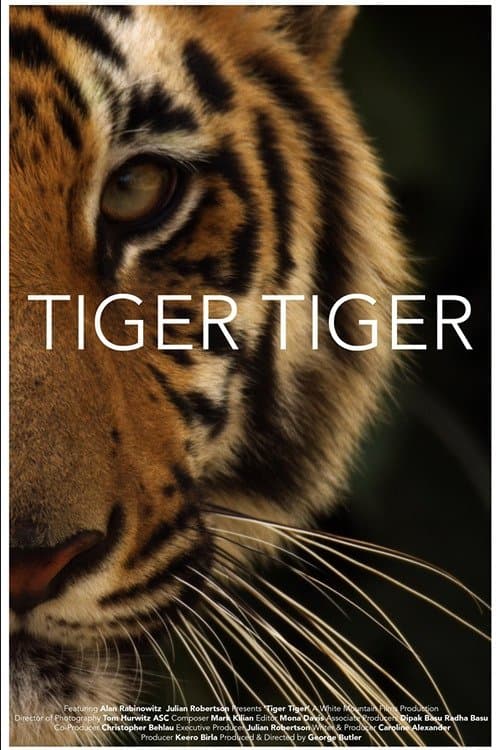 Tiger Tigerのポスター
