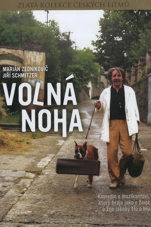 Volná nohaのポスター