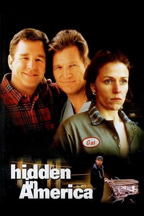 Hidden in Americaのポスター