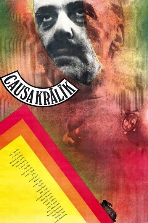 Causa Králíkのポスター