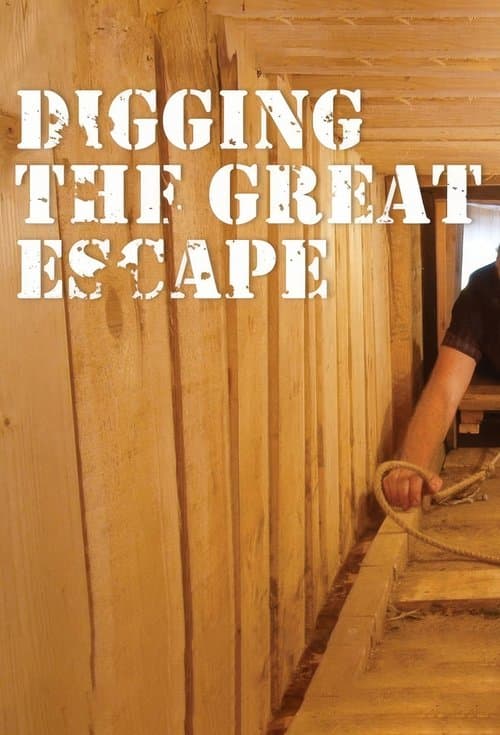 Digging The Great Escapeのポスター