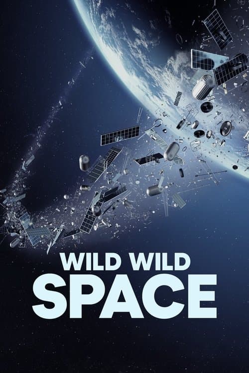 Wild Wild Spaceのポスター