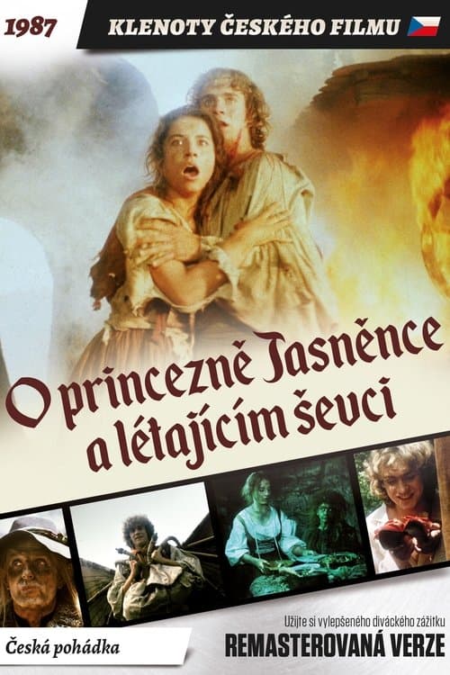 O princezně Jasněnce a létajícím ševciのポスター