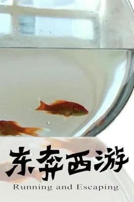 11度青春之东奔西游のポスター