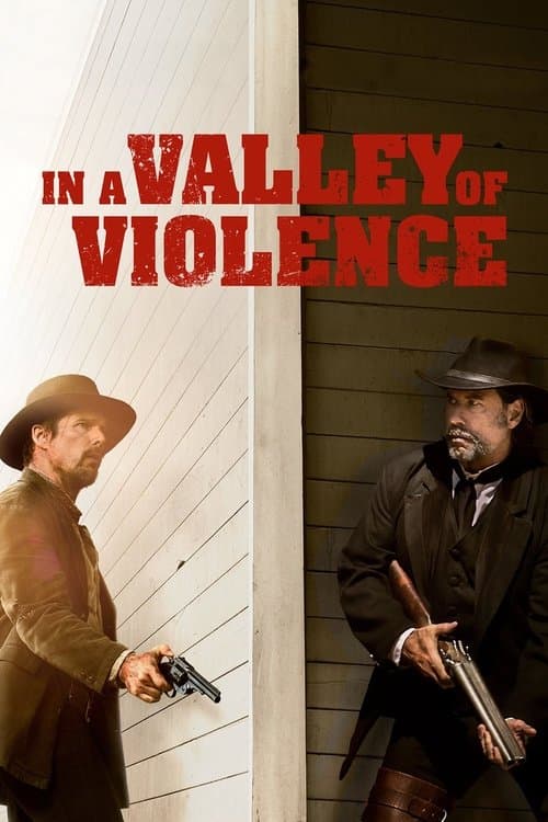 バレー・オブ・バイオレンスのポスター