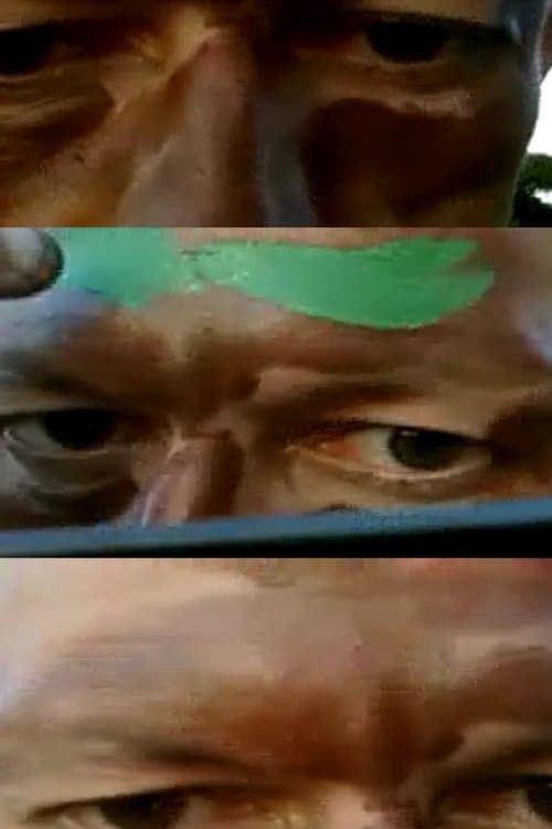 Camouflage Self-Portraitのポスター