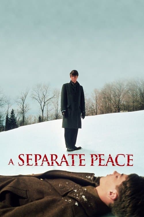 A Separate Peaceのポスター