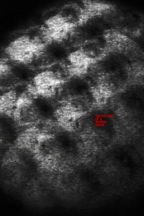 The Killing of a Danish Swanのポスター