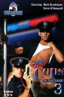 Hot Cops 3: The Final Assaultのポスター