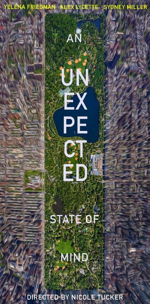 An Unexpected State of Mindのポスター