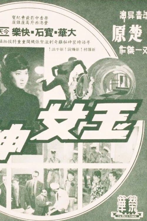 玉女神偷のポスター