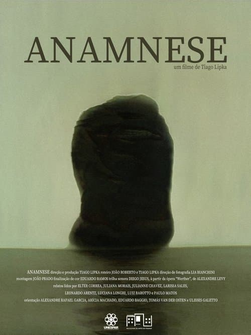 Anamneseのポスター