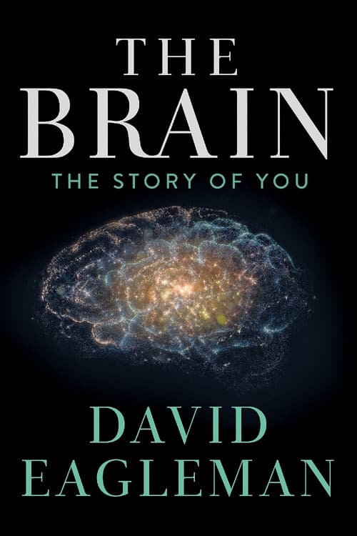 The Brain with David Eaglemanのポスター