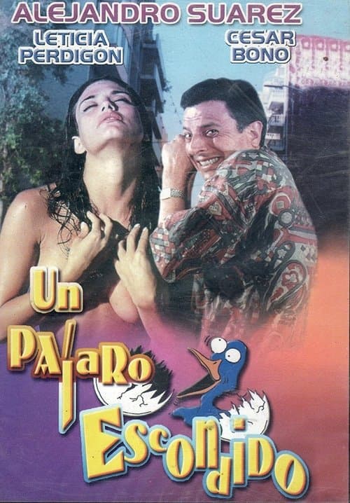 Un pájaro escondidoのポスター